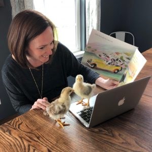 Reading to baby chicks